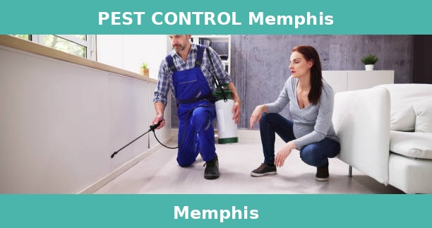PEST CONTROL Memphis